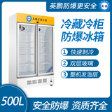 英鹏防爆冰柜-立式双门500L