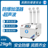 防爆超声波加湿器