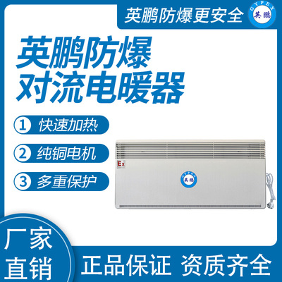 防爆对流电暖器BYT-20DLB
