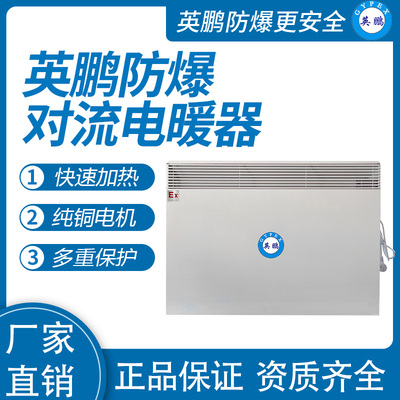 防爆对流电暖器BYT-30DL