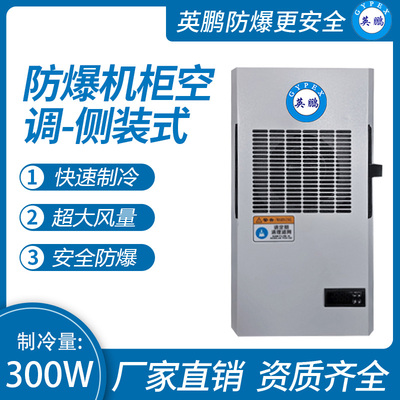 防爆机柜空调-侧装式300W