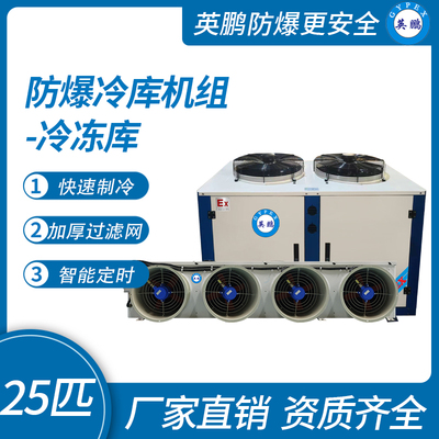 防爆冷库机组-冷冻库25匹