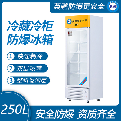 英鹏防爆冰箱-立式冷藏柜250L