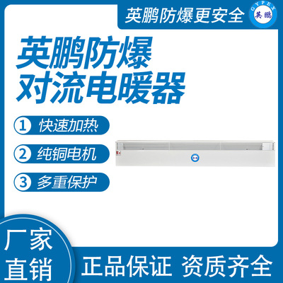 防爆对流电暖器BYT-20DLA